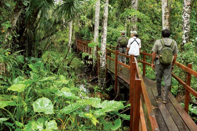 Ecotourism Excursions