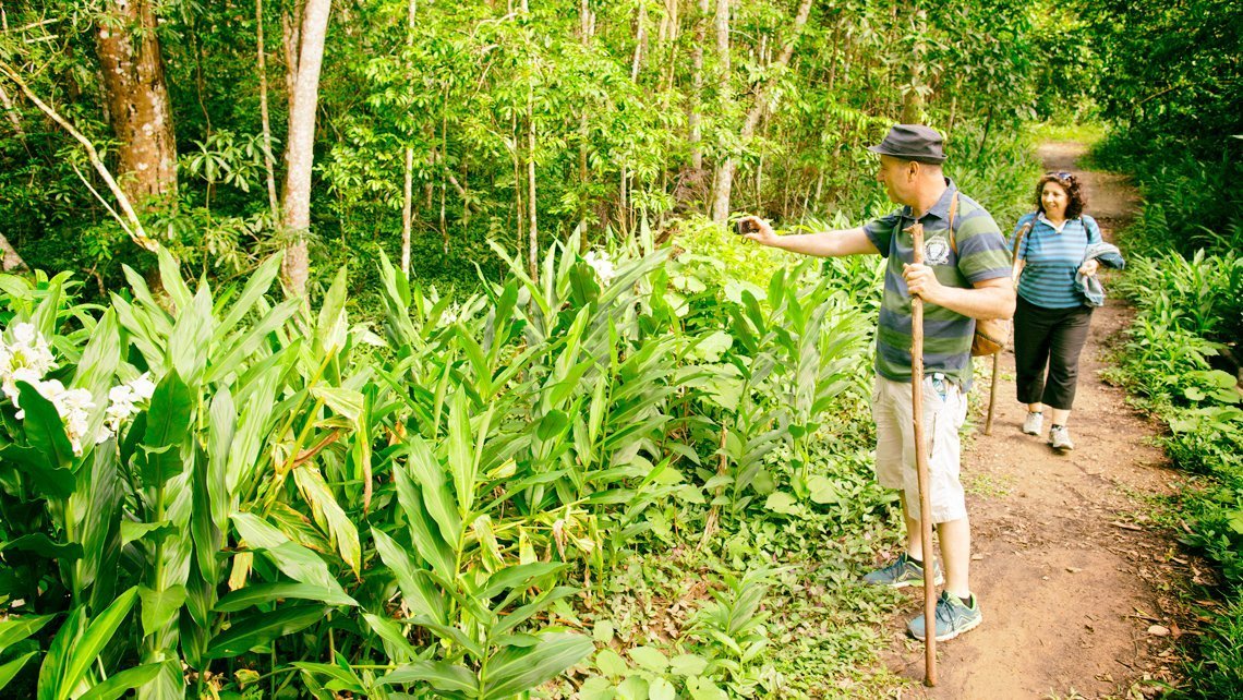 Walking trails