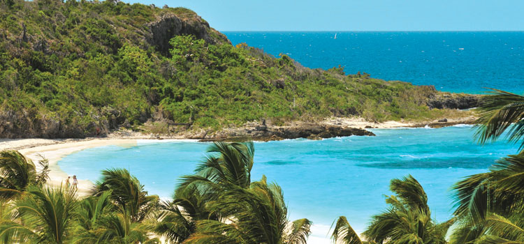 From Holguin