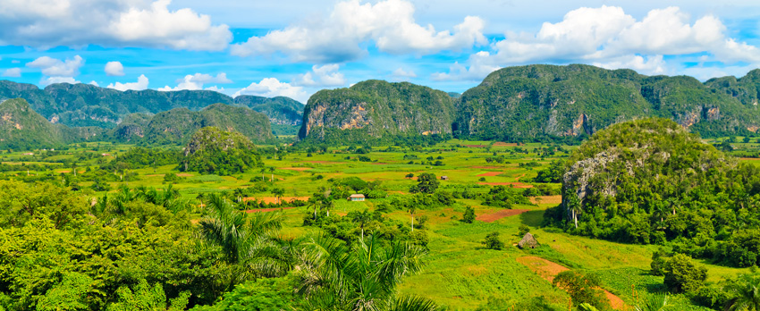 In Vinales