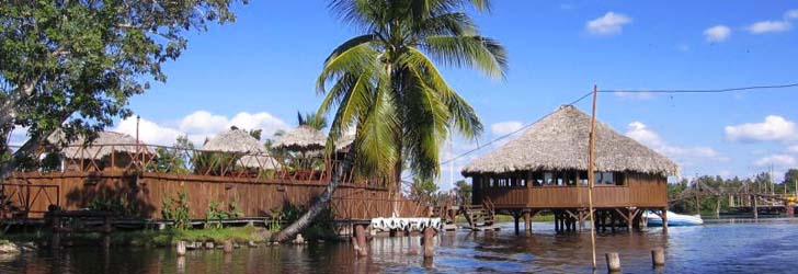 In Zapata Peninsula