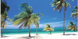 Excursion to the beach