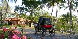 Guamá Viewpoint - La Guabina