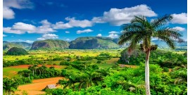 Private Excursion to Viñales - Lunch included