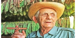 Excursion to Pinar del Río and Vegas Robaina - Lunch included