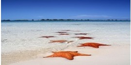 Excursion à Cayo Largo, vol inclus