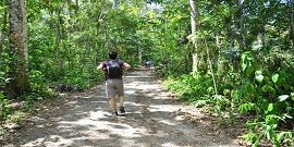 Route de Caimito