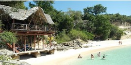 Island Paradise