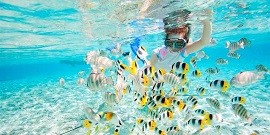 Récif de corail en bateau à moteur hors-bord