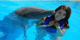 Nager avec des dauphins