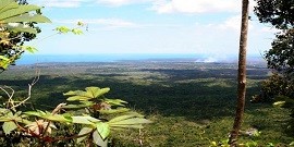 Au-delà des épines - Mille sommets