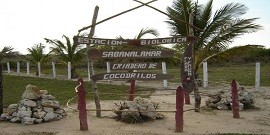 Ferme aux crocodiles - Sabanalamar