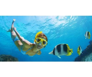 Seafari Cayo Blanco Plus (Marina Marlín) 