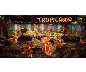 Spectacle au cabaret Tropicana 