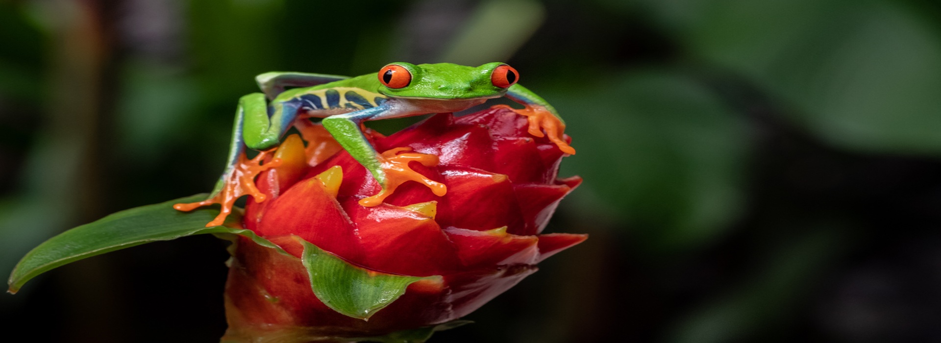 Photo of COSTA RICA destination