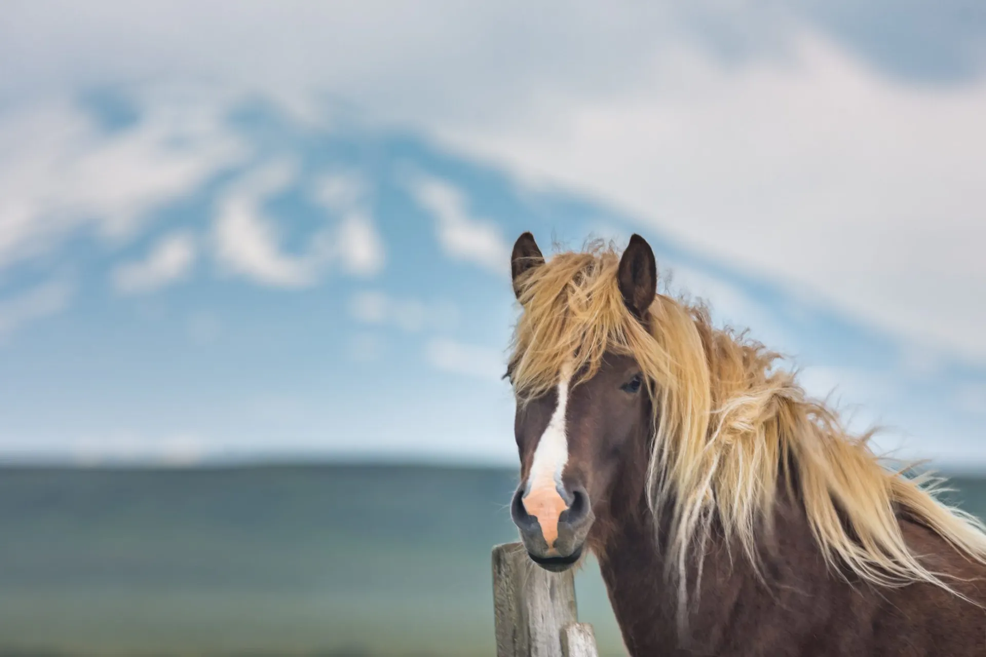 Photo of ICELAND destination