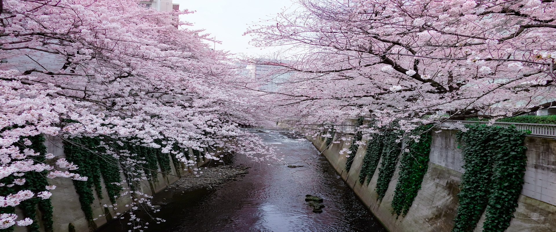 Tour HIGHLIGHTS OF JAPAN main image
